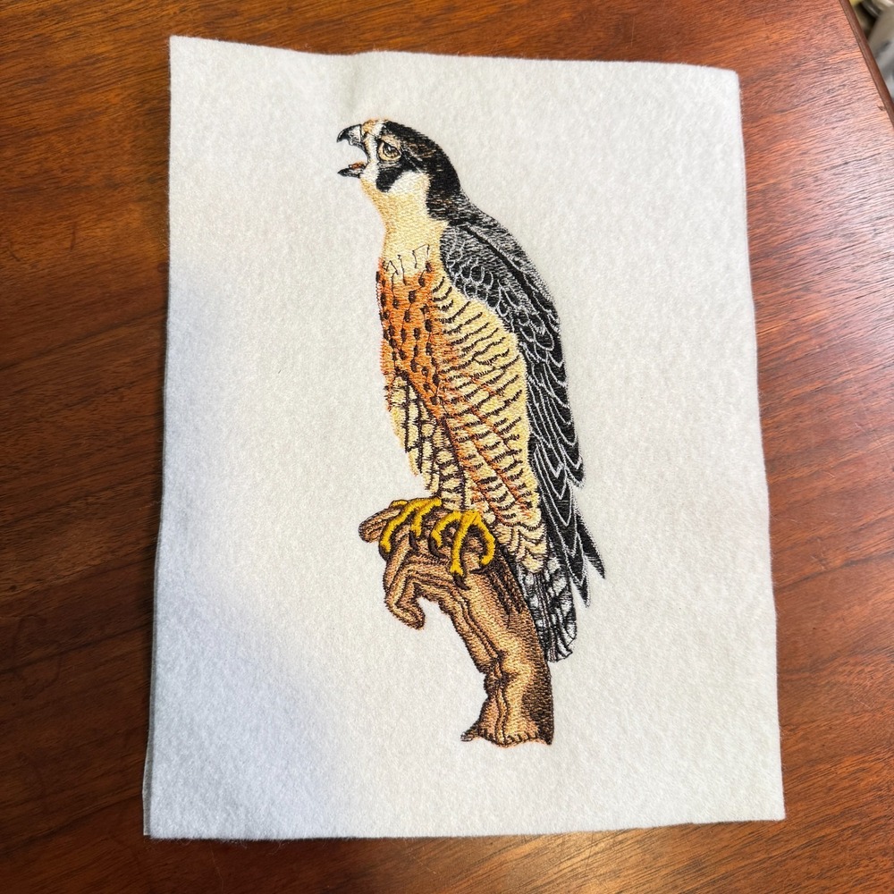 Vintage Peregrine Falcon Bird Portrait Wildlife Handmade Embroidery Sew On